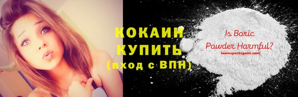 прущие грибы Пересвет