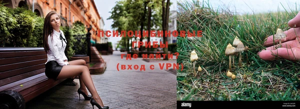 герыч Аркадак