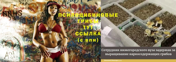 прущая мука Арсеньев